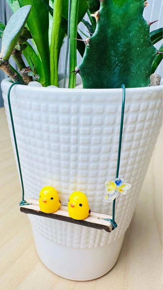 Cute low maintenance plant arrangement - photo 3