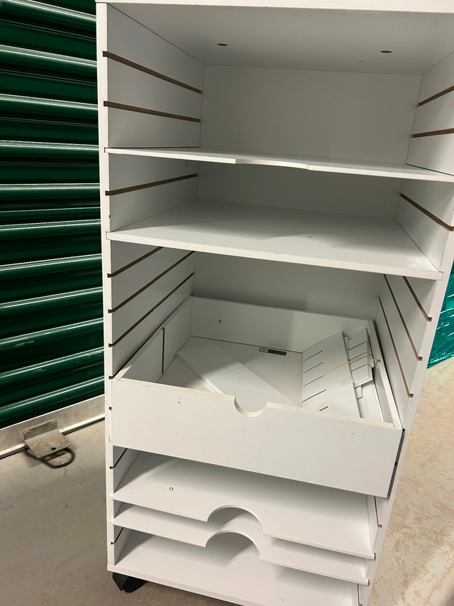 Shelf Organizer Station on Wheels