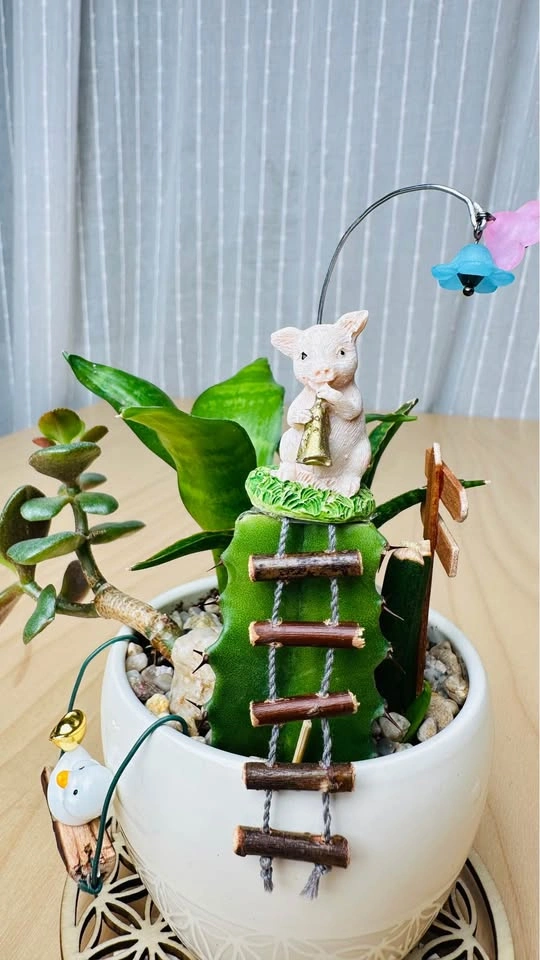 Cute low maintenance plant arrangement - photo 2