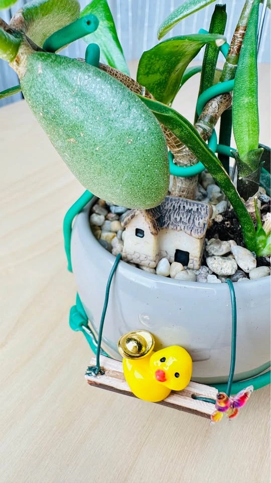 Cute low maintenance plant arrangement - photo 2