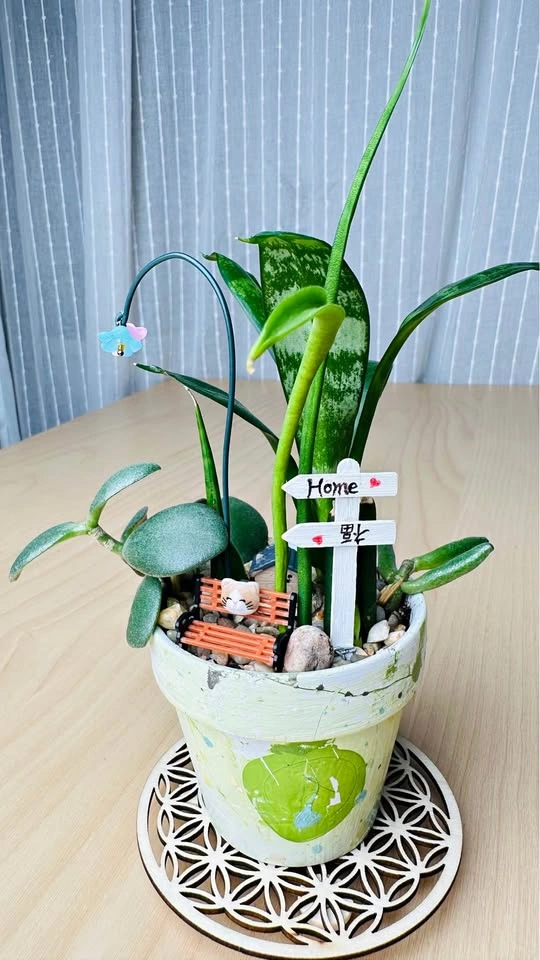 Hand painted pot & low maintenance plants
