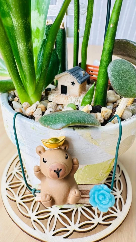 Hand painted pot & low maintenance plants - photo 4