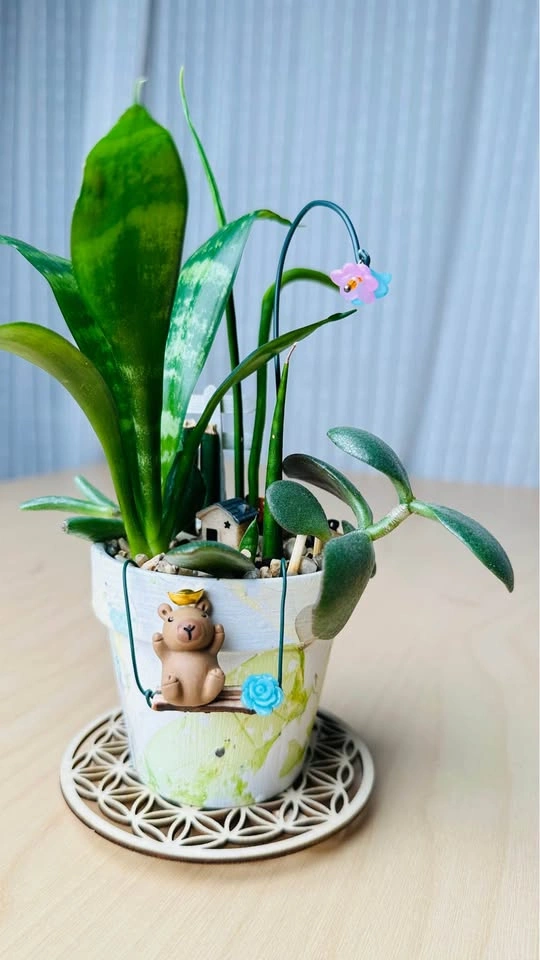 Hand painted pot & low maintenance plants - photo 5