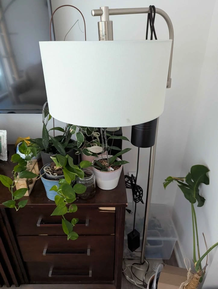 CANVAS Rowan Brushed Nickel Floor Lamp Warm White Shade