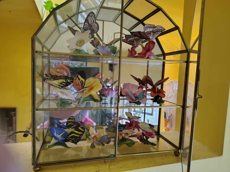 Franklin Mint Butterflies of the World Collection - photo 2