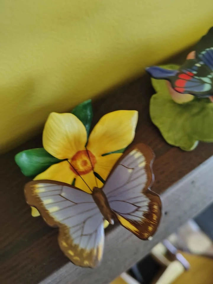 Franklin Mint Butterflies of the World Collection - photo 5