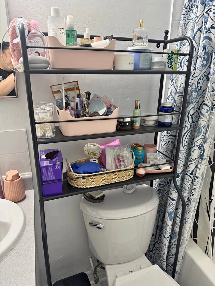 Ikea Frosjon Toilet Bathroom Cabinet Shelf