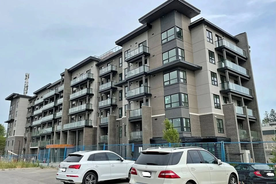 1 Bed 1 Bath Apartment