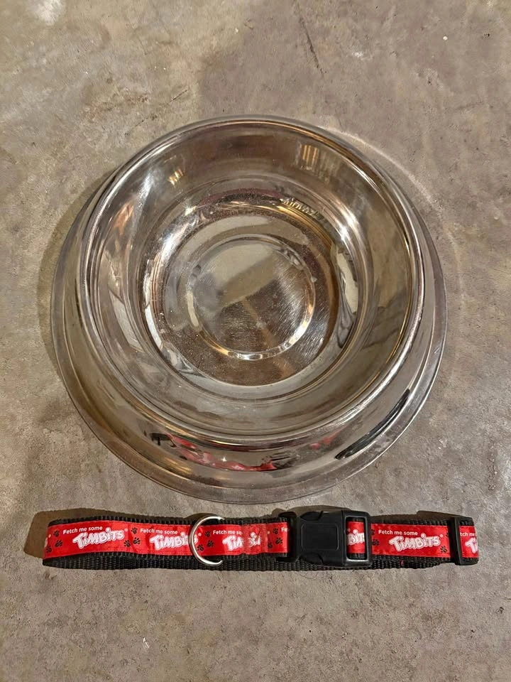 Stainless Steel Dog Dish & Tim Horton's "Fetch Me Some Tim Bits"