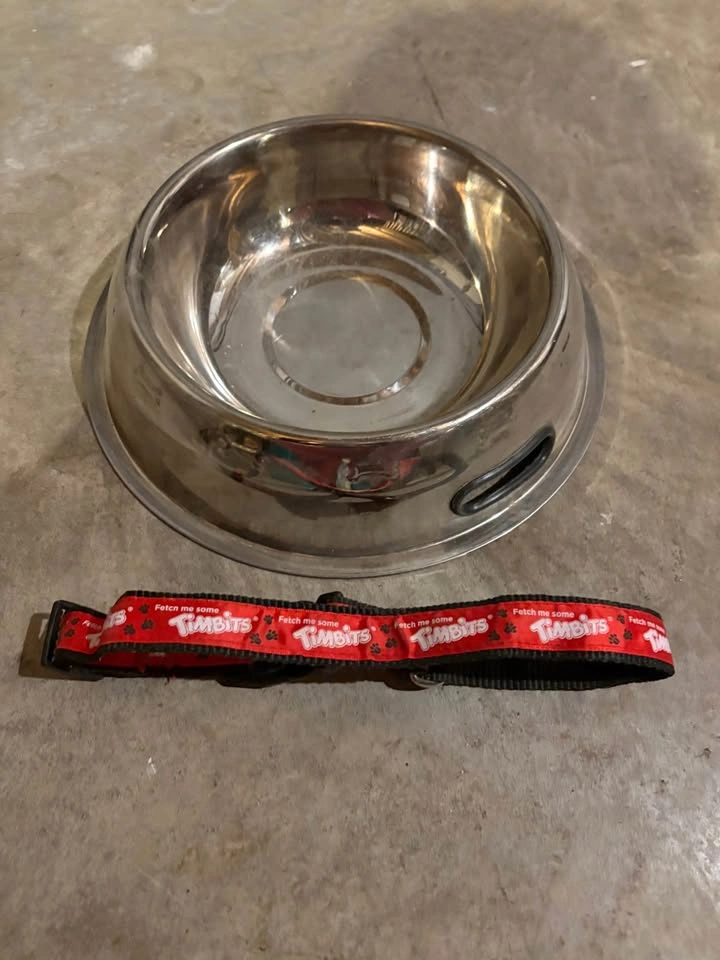 Stainless Steel Dog Dish & Tim Horton's "Fetch Me Some Tim Bits" - photo 2