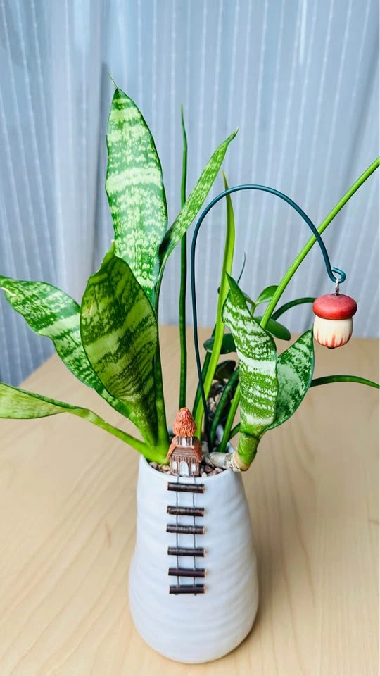 Cute low maintenance plant arrangement - photo 3