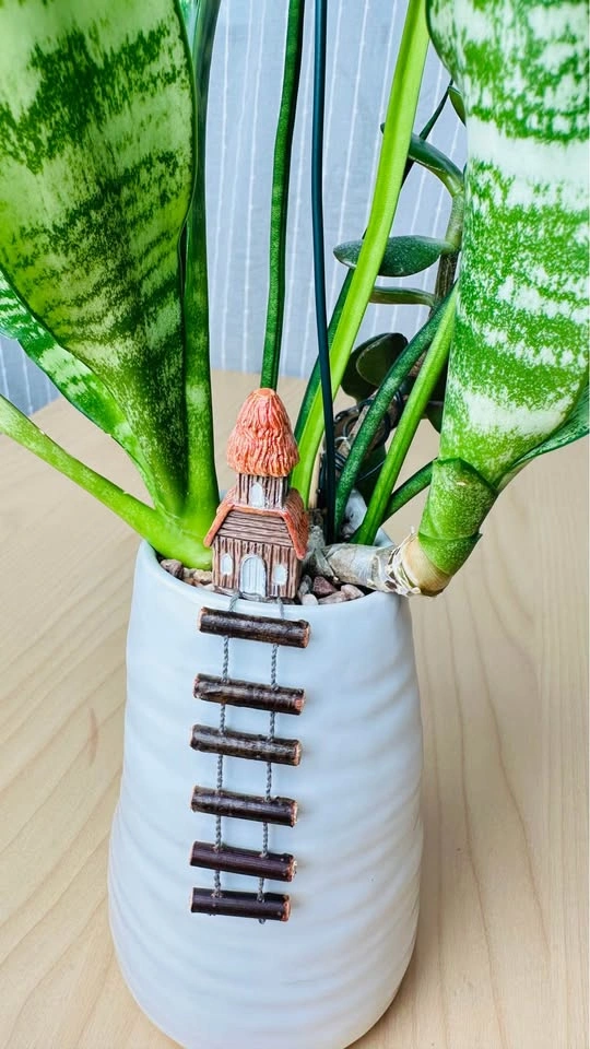 Cute low maintenance plant arrangement - photo 4