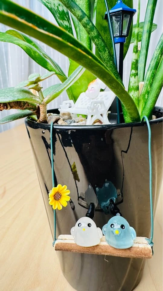 Cute low maintenance Plant Arrangement - photo 2