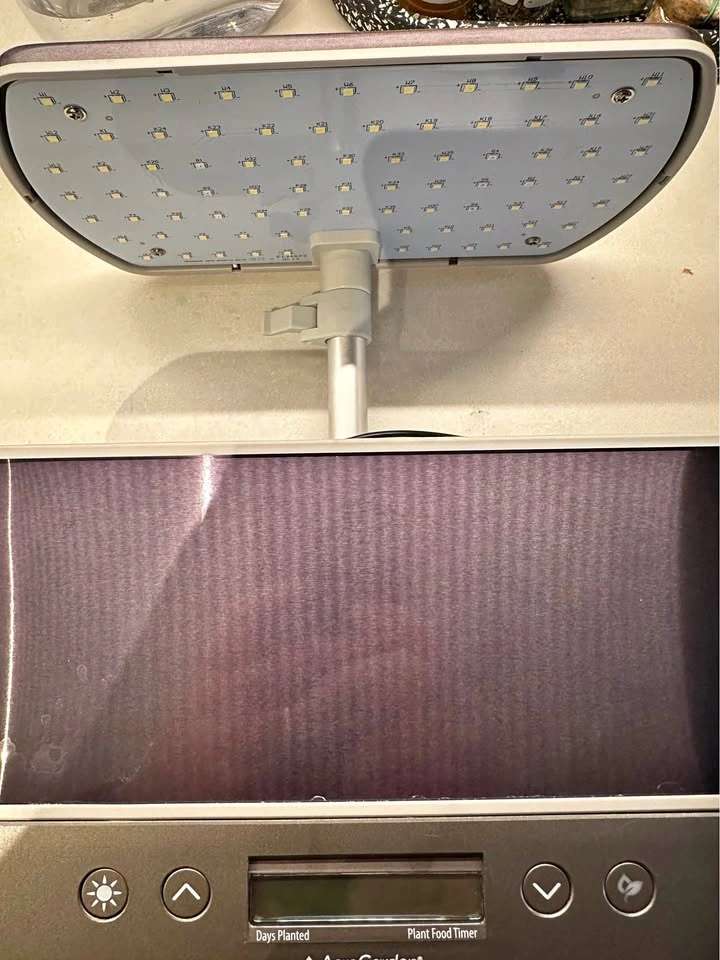 Aerogarden 6 pods with herbs seeds and nutrients