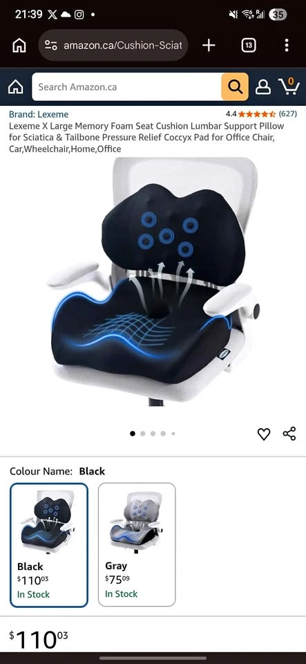 Lexeme Memory Foam Seat Cushion and Lumbar Support Pillow