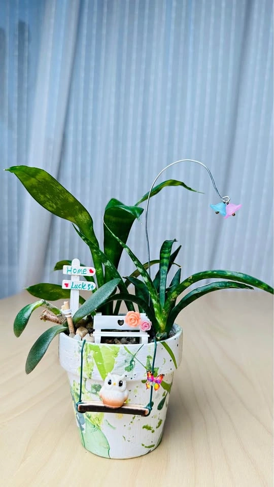 Hand painted pot & low maintenance plant arrangement