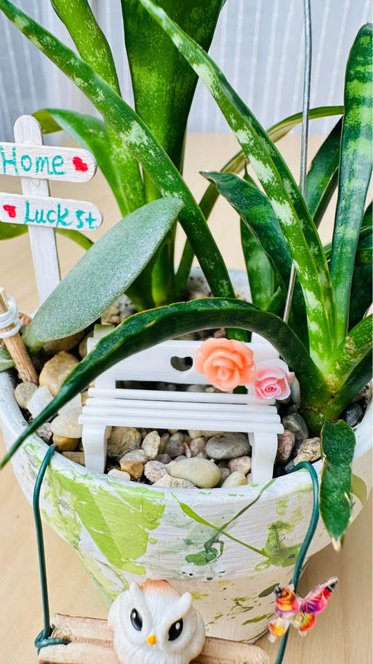 Hand painted pot & low maintenance plant arrangement - photo 3
