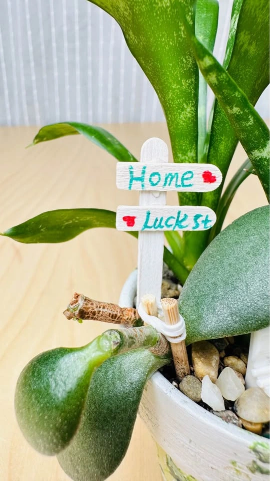 Hand painted pot & low maintenance plant arrangement - photo 4