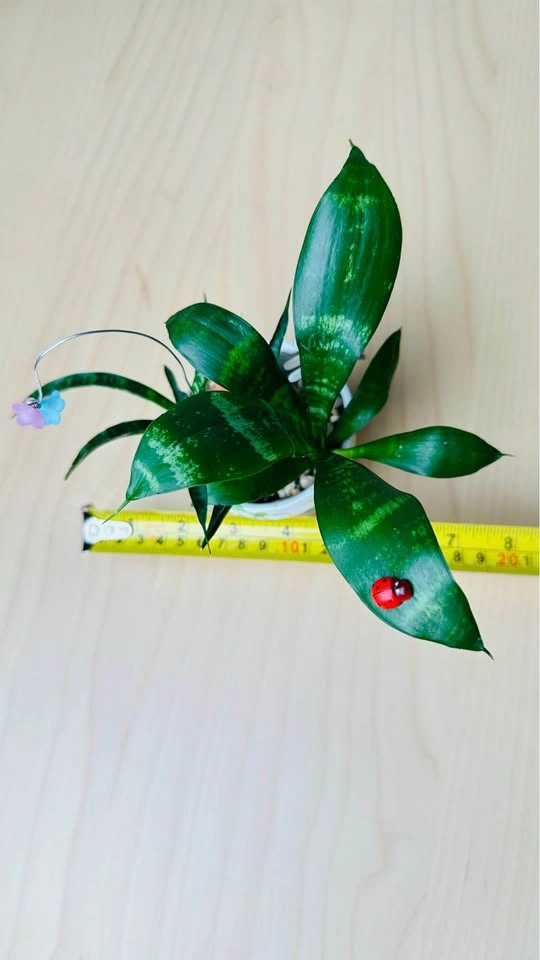 Hand painted pot & low maintenance plant arrangement - photo 5
