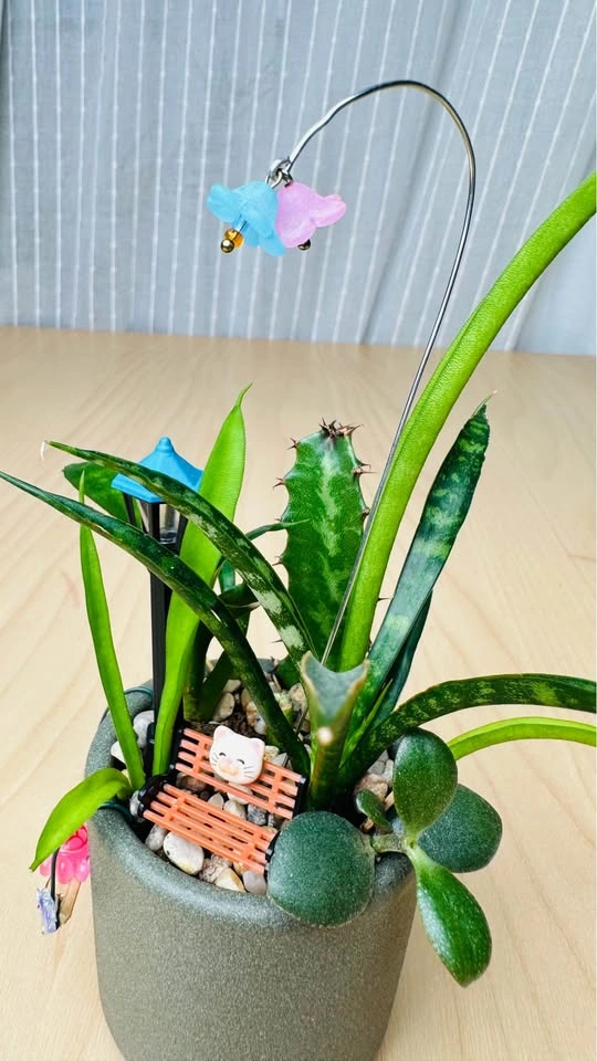 Cute low maintenance plant arrangement - photo 3