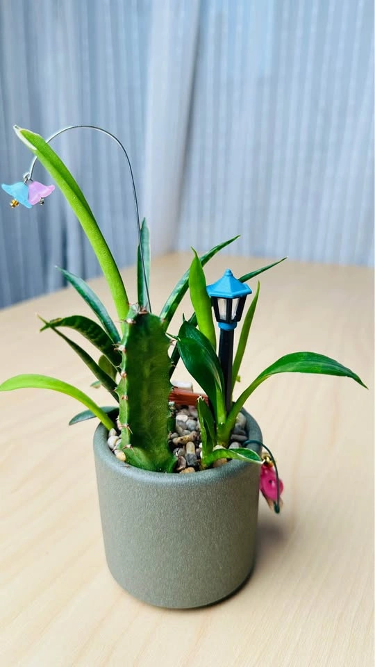 Cute low maintenance plant arrangement - photo 5