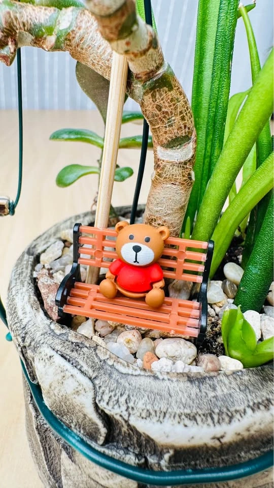 Cute low maintenance plant arrangement - photo 2