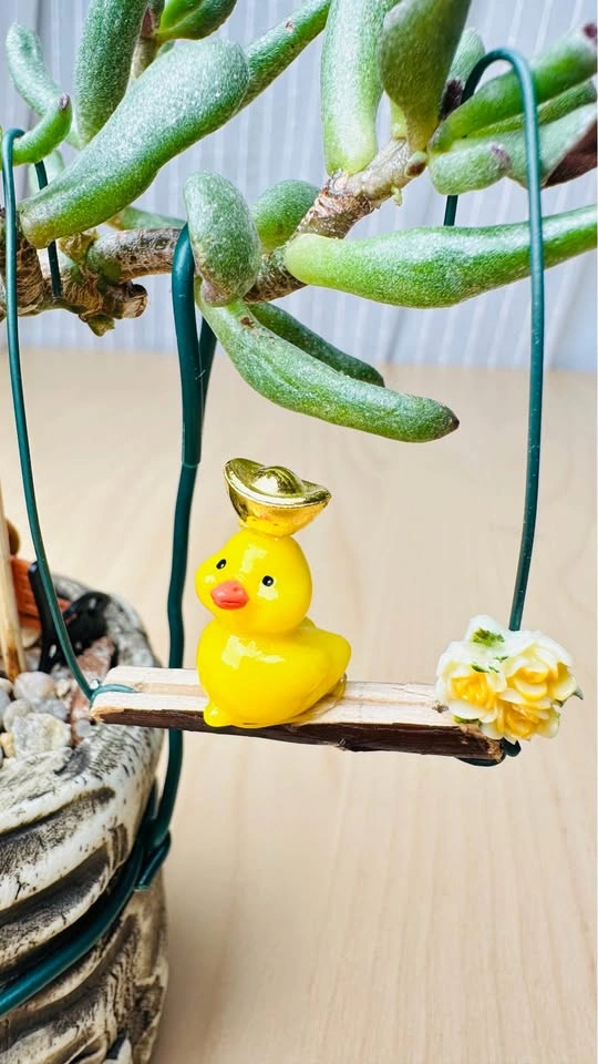Cute low maintenance plant arrangement - photo 4