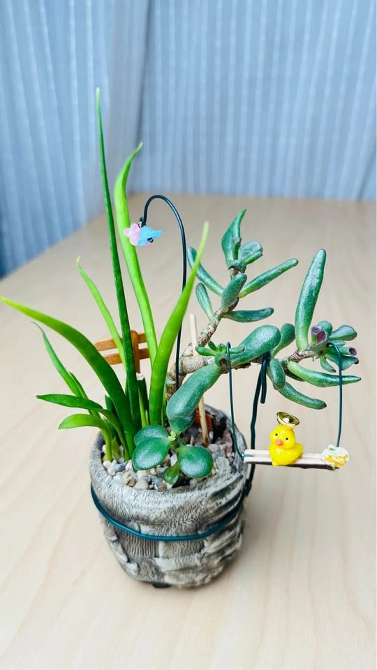 Cute low maintenance plant arrangement - photo 5