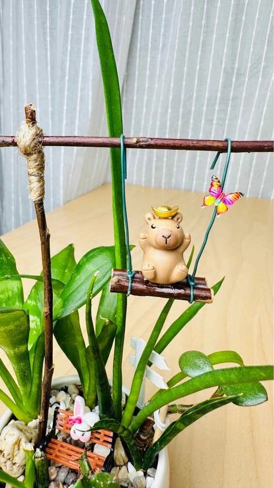Cute low maintenance plant arrangement - photo 2