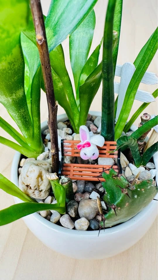 Cute low maintenance plant arrangement - photo 3