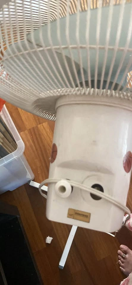 Windmere KG-12 Pedestal Fan - photo 4