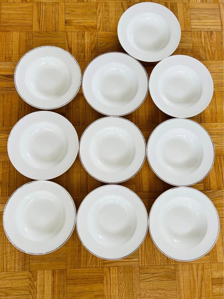 Set of 10 Bone China Plates – GLUCKSTEINHOME Prescott - photo 4