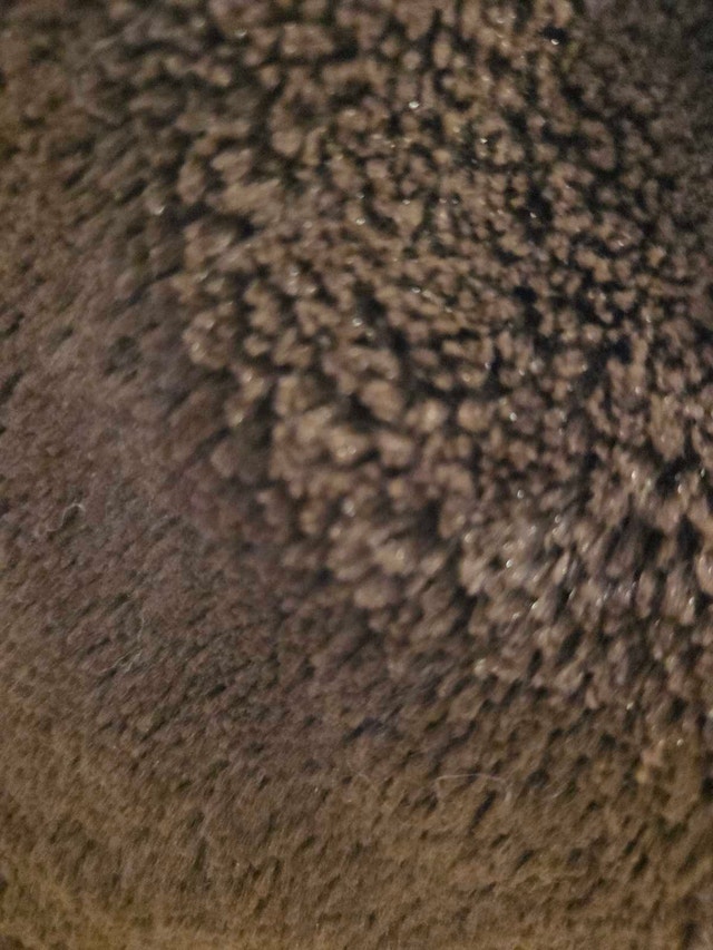 SET OF 3: Luxe Pier 1 Imports Faux Fur Pillows – Chocolate Brown - photo 3