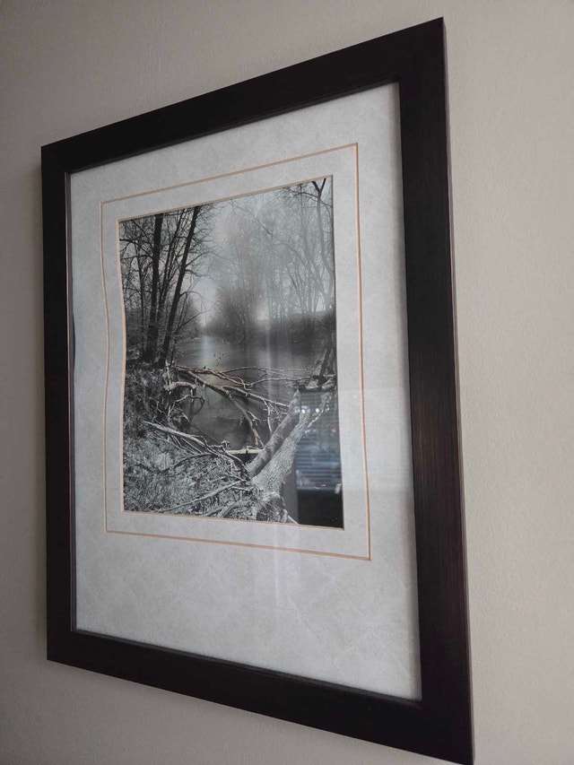 Medium size Framed Monochrome Nature Art – Art Maison Canad