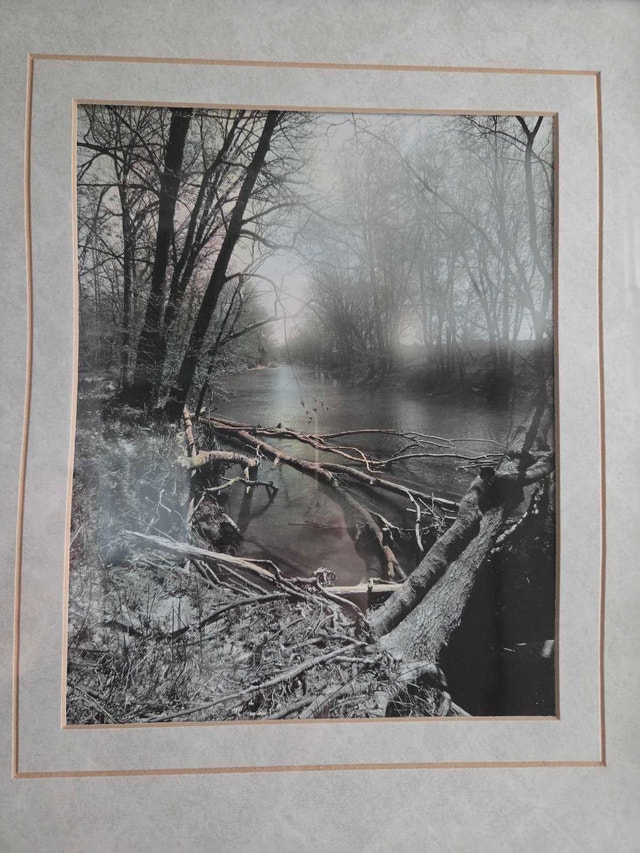 Medium size Framed Monochrome Nature Art – Art Maison Canad - photo 2