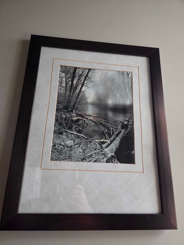 Medium size Framed Monochrome Nature Art – Art Maison Canad - photo 3