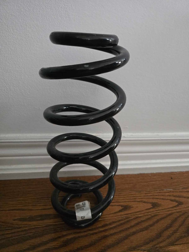 VW GTI OEM Front and Rear Suspension Springs - photo 5