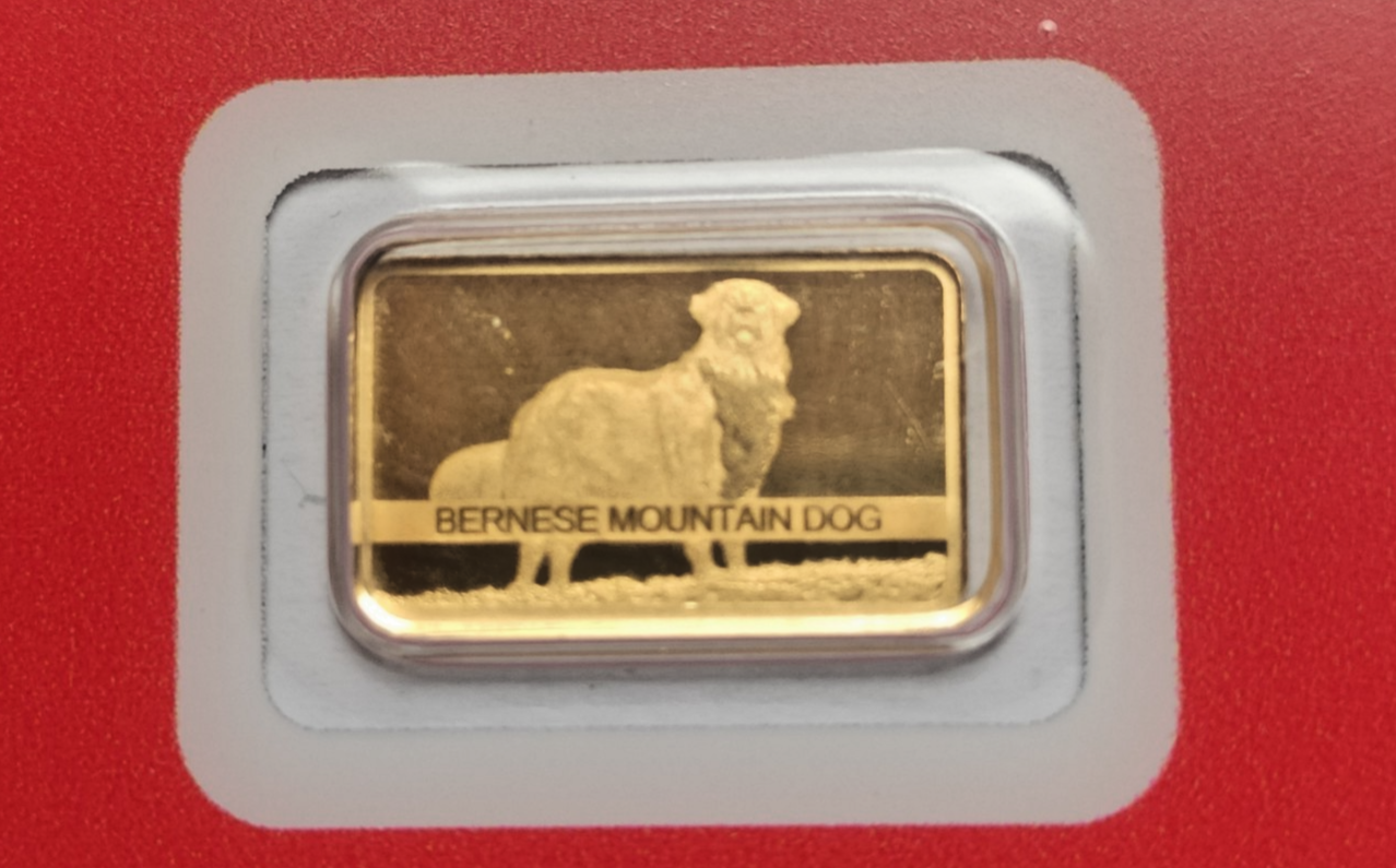 1 Gram Gold Bar Switzerland Bernese Mountain Dog Swiss PAMP - photo 3