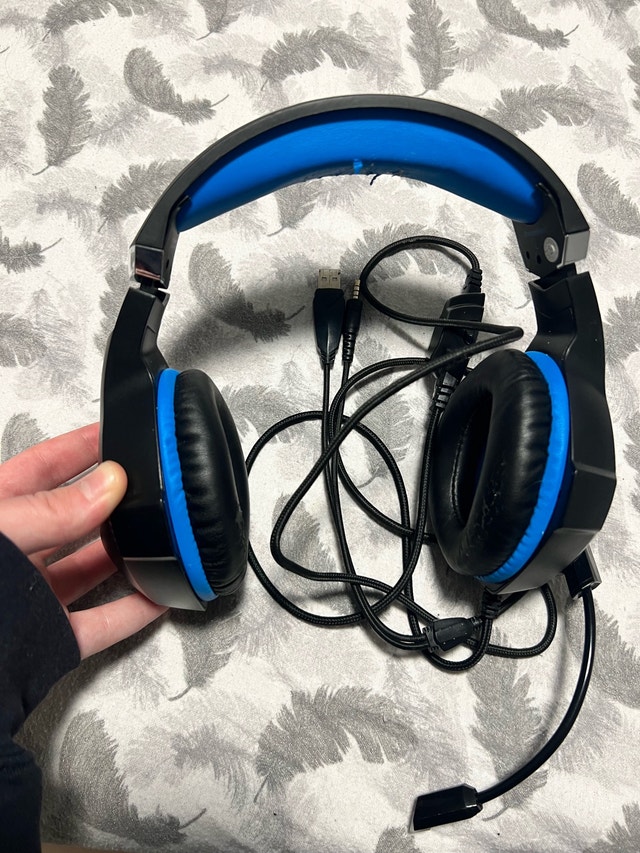 BeeXcellent Headset