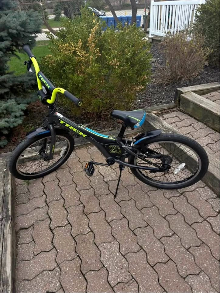 Trek Jet 20" Kids Bike
