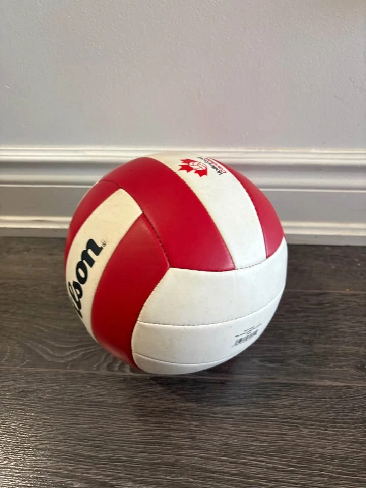 Wilson Volleyball Official Size - photo 2