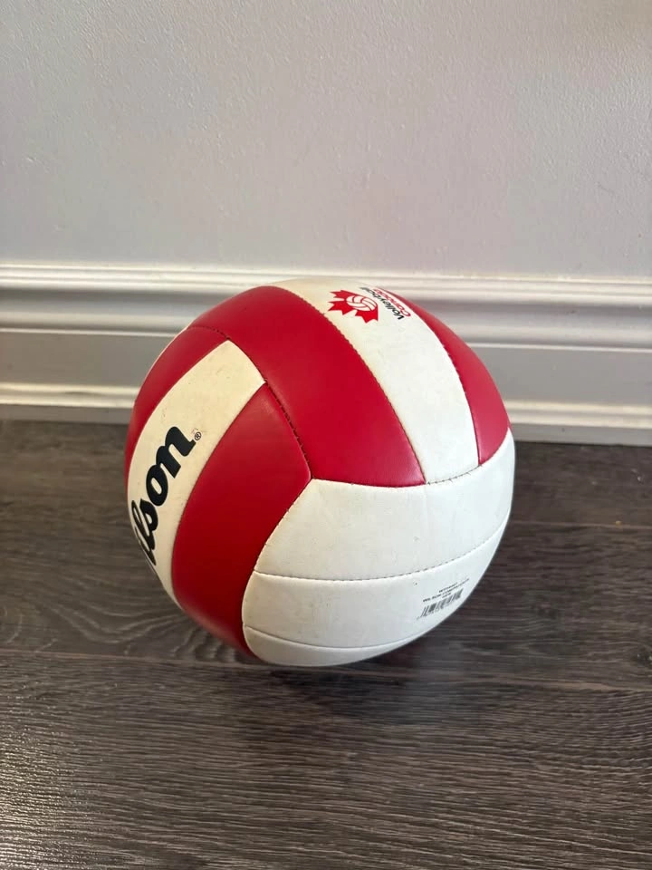 Wilson Volleyball Official Size - photo 4