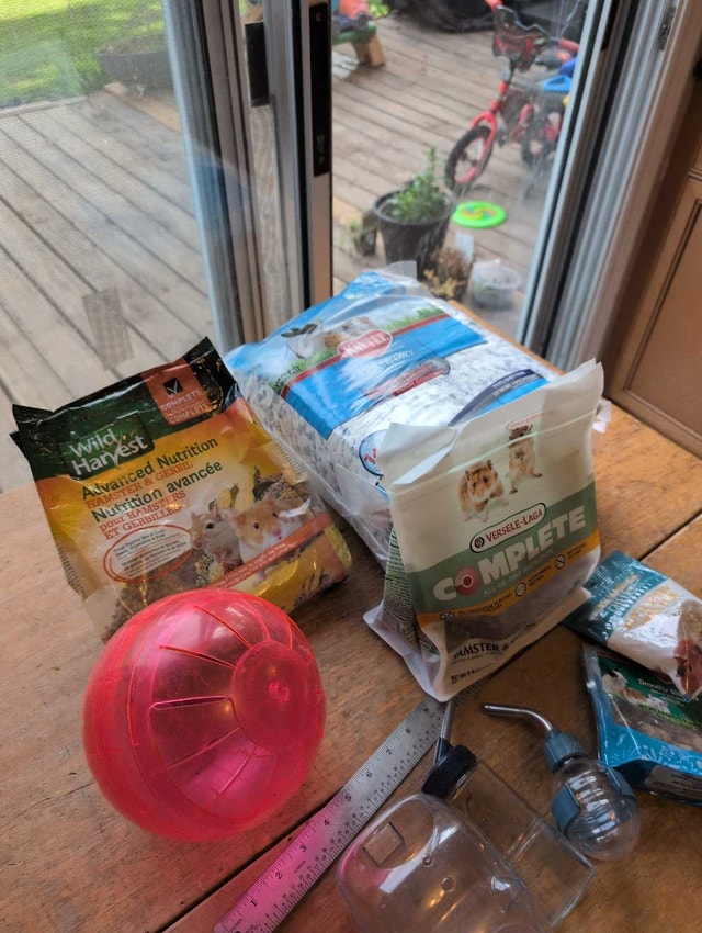 Hamster Starter Kit - Food, Bedding, Ball, Gerbil - photo 3