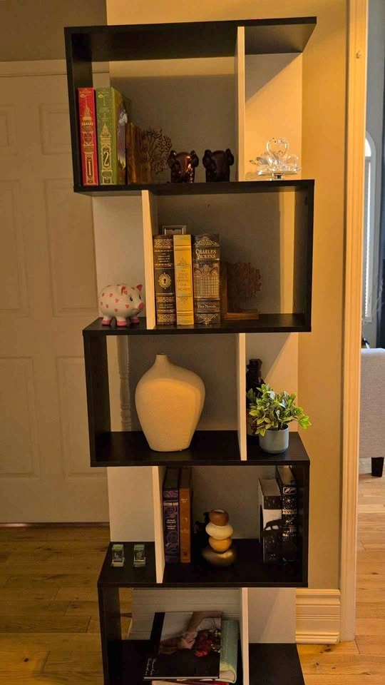 Modern Geometric S-Shaped Bookshelf / Room Divider – Black & Whi
