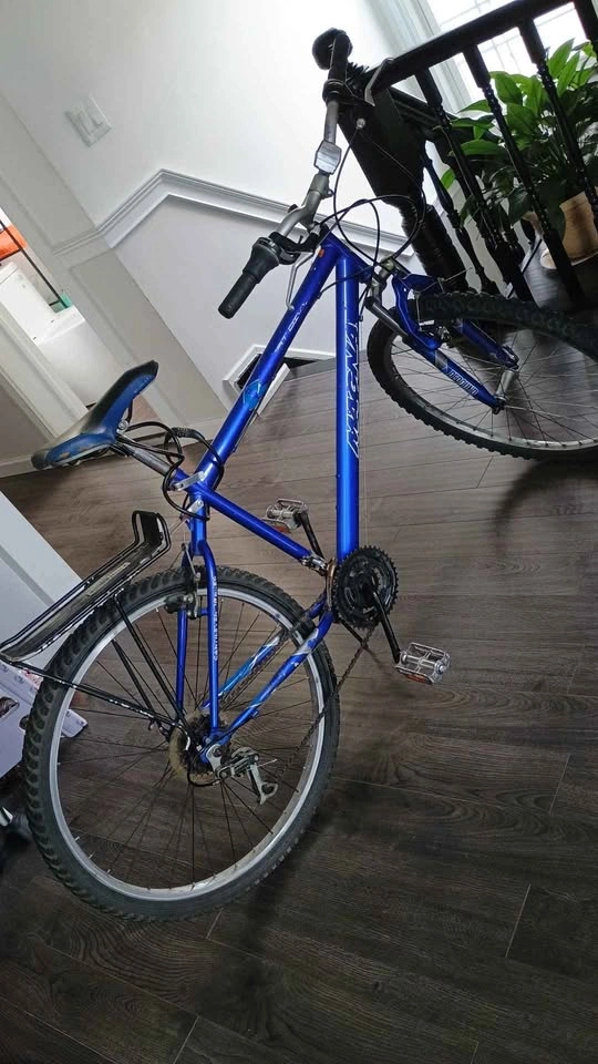 MAGNA Bicycle Aro 26 - photo 2