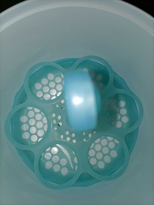 Steam steriliser - photo 2