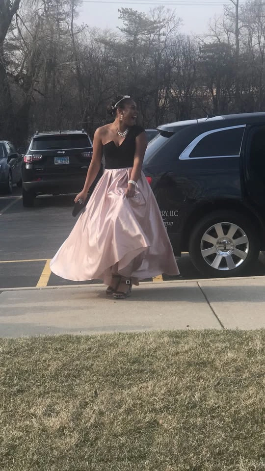 Elegant Formal Dress - photo 2