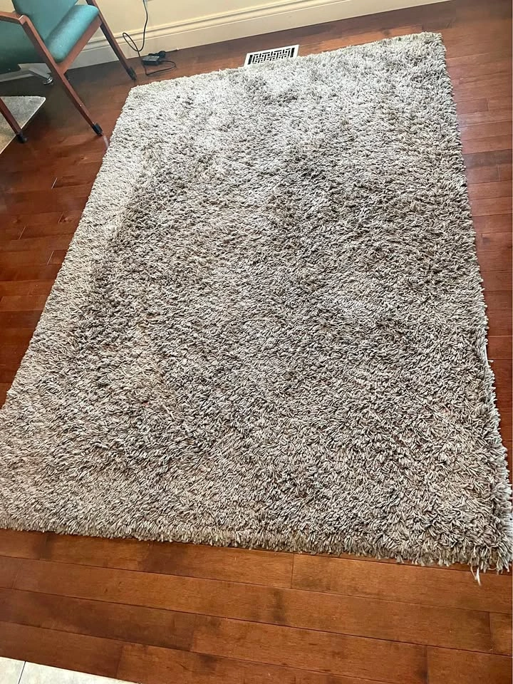 Taupe Shag Rug (5’3” x 7’6”) - Lightly Used
