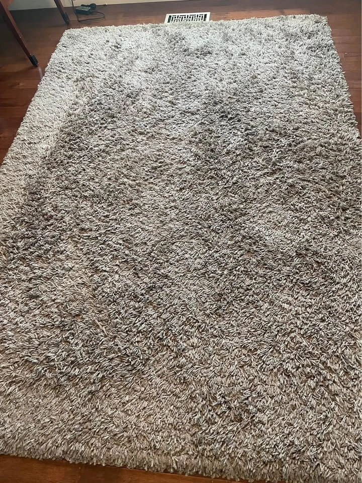 Taupe Shag Rug (5’3” x 7’6”) - Lightly Used - photo 2