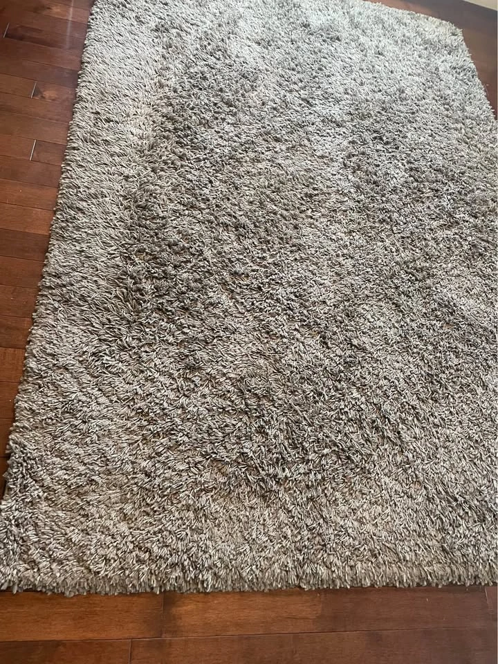 Taupe Shag Rug (5’3” x 7’6”) - Lightly Used - photo 5